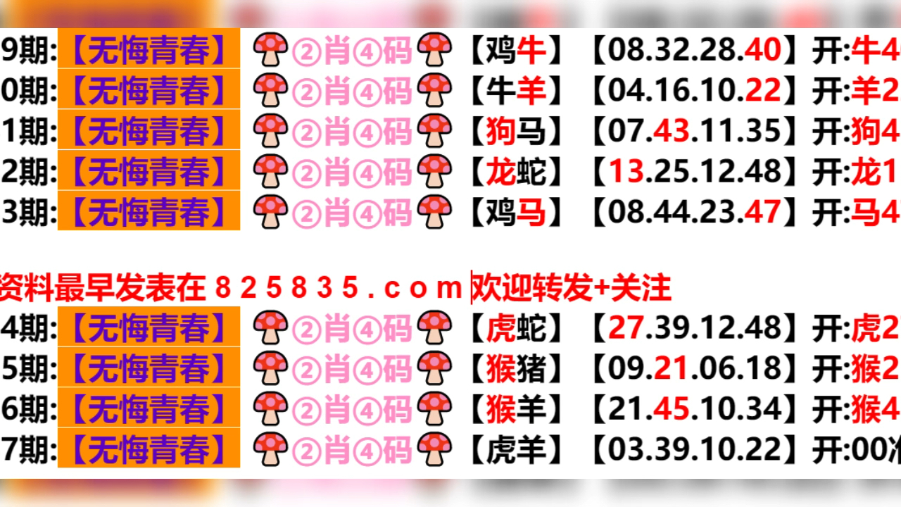 2024年新奥门天天开彩,实地分析解释定义_网页款31.248