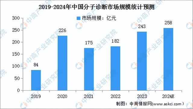 2024天天彩正版资料大全十,实践性策略实施_Tablet62.258