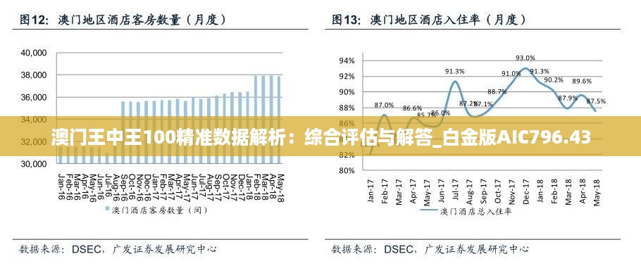 澳门王中王100%期期中,全面评估解析说明_soft74.14.12