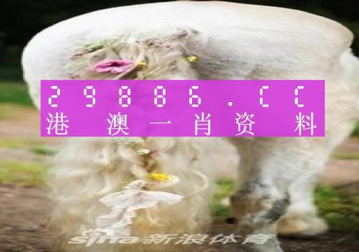 澳门一肖一码精准100王中王婪49图库,前沿分析解析_10DM46.250