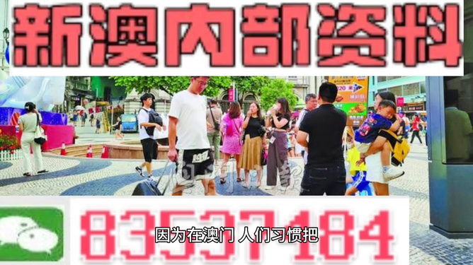 2024新澳精准资料免费提供网站,诠释解析落实_超值版114.248