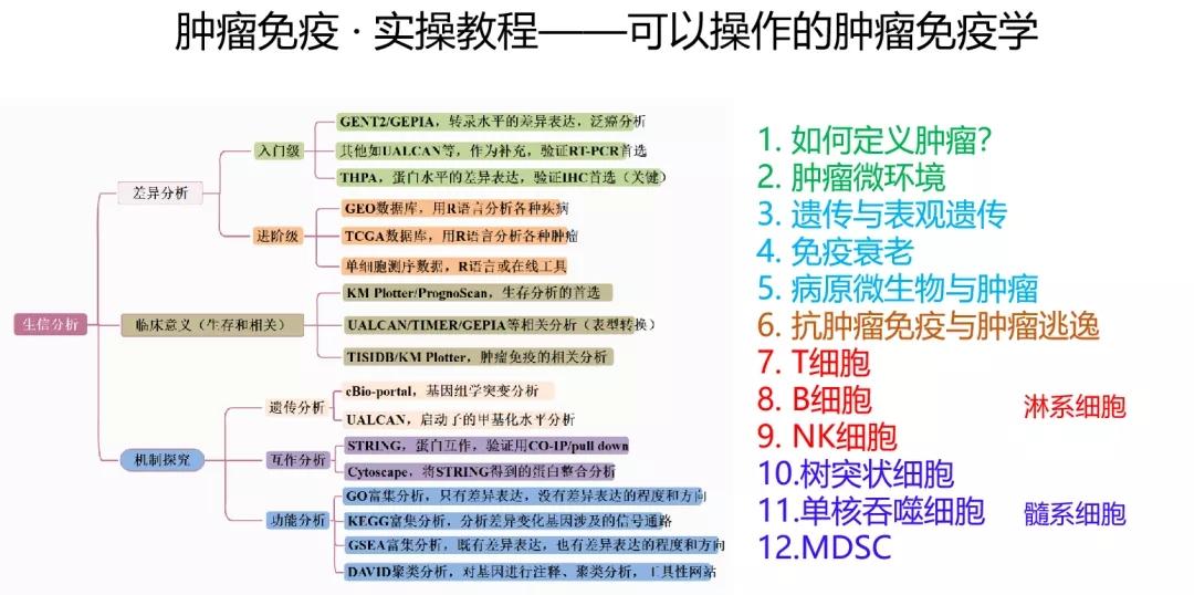 2024年12月10日 第53页