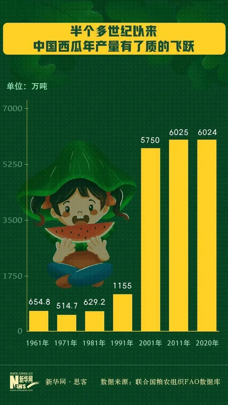 2024年12月11日 第41页