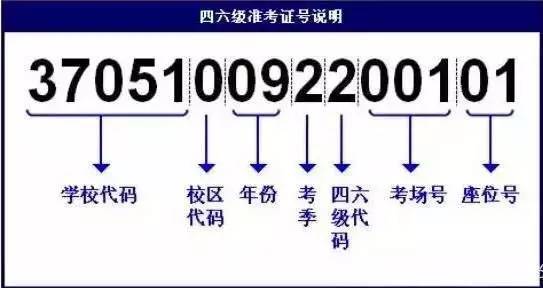 澳门神算子精准免费资料,最新成果解析说明_suite68.932