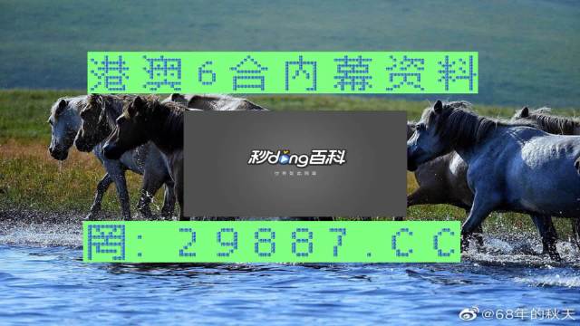 澳门马买马网站com,动态词汇解析_粉丝版17.330