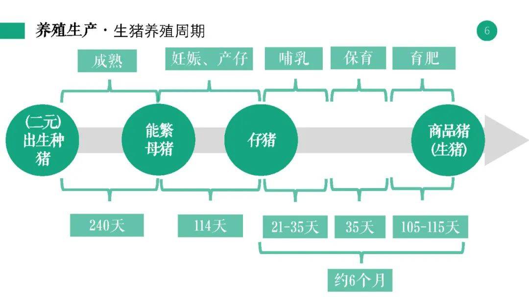 新奥2024年免费资料大全,平衡策略指导_超值版22.716