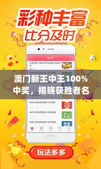 澳门王中王100%期期中,可靠性执行方案_黄金版23.539