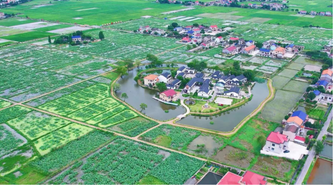 宁乡县水利局新项目推动水利建设助力地方发展进程