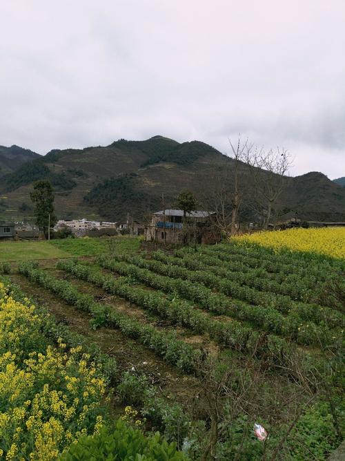 下管镇最新天气预报概览