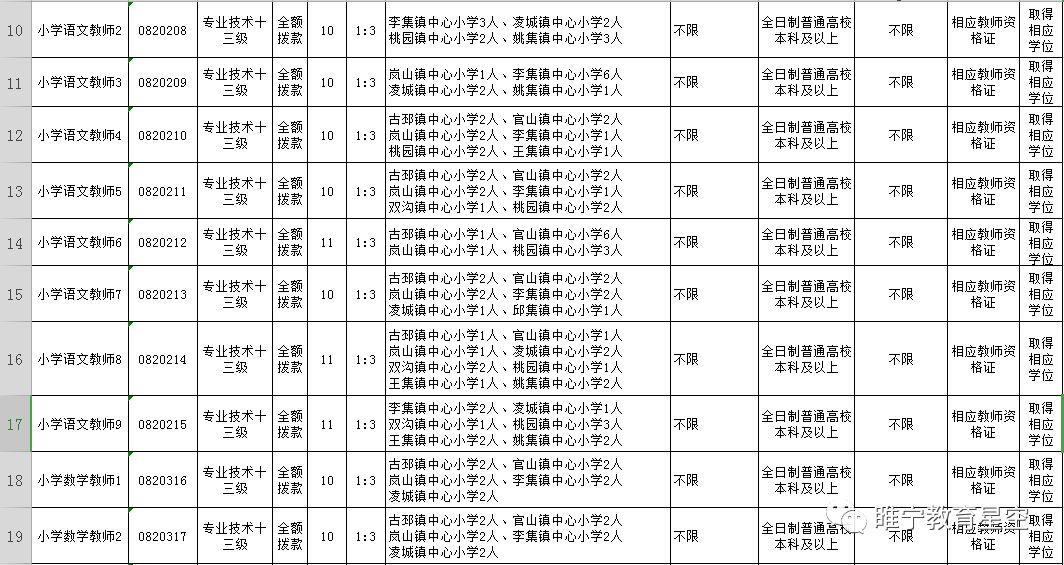 睢宁县小学最新招聘信息概览