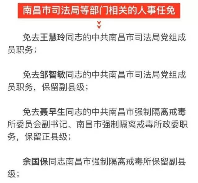 确山县科技局人事任命动态深度解析