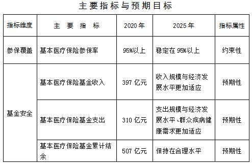 梨树县医疗保障局未来发展规划展望