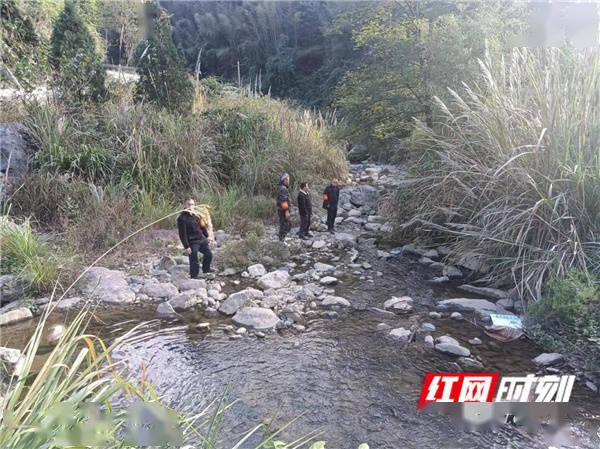 黄泥洞林场天气预报更新通知