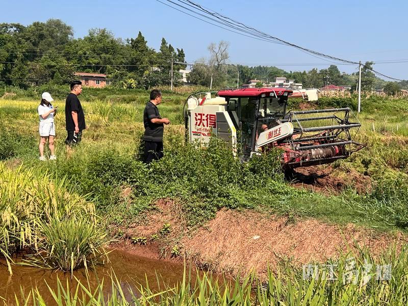 东兴市农业农村局最新项目，推动农业现代化，助力乡村振兴