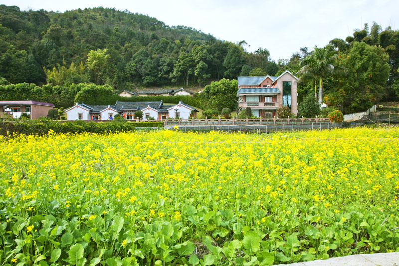 黄茅乡最新天气预报