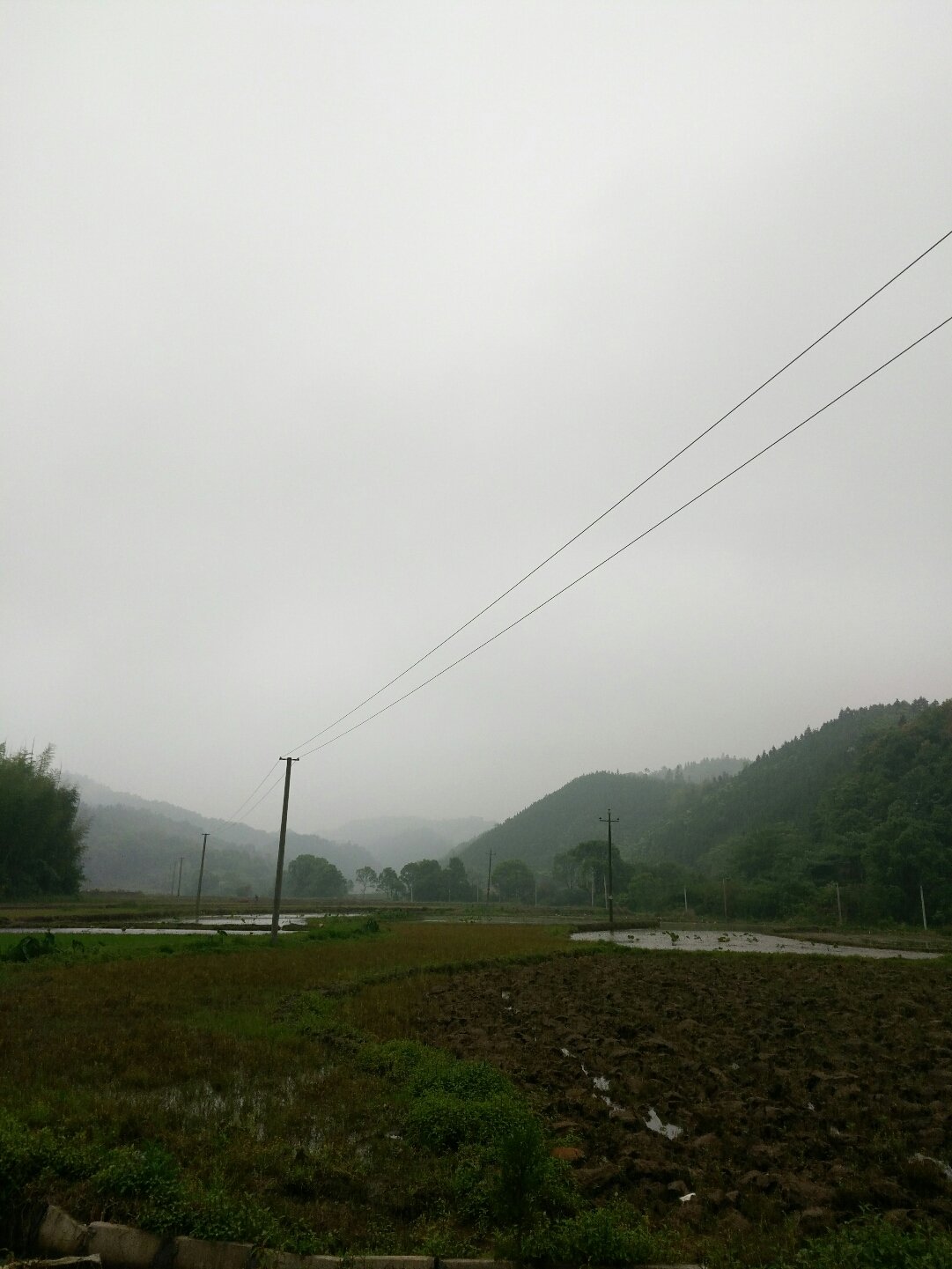 白地镇天气预报更新通知