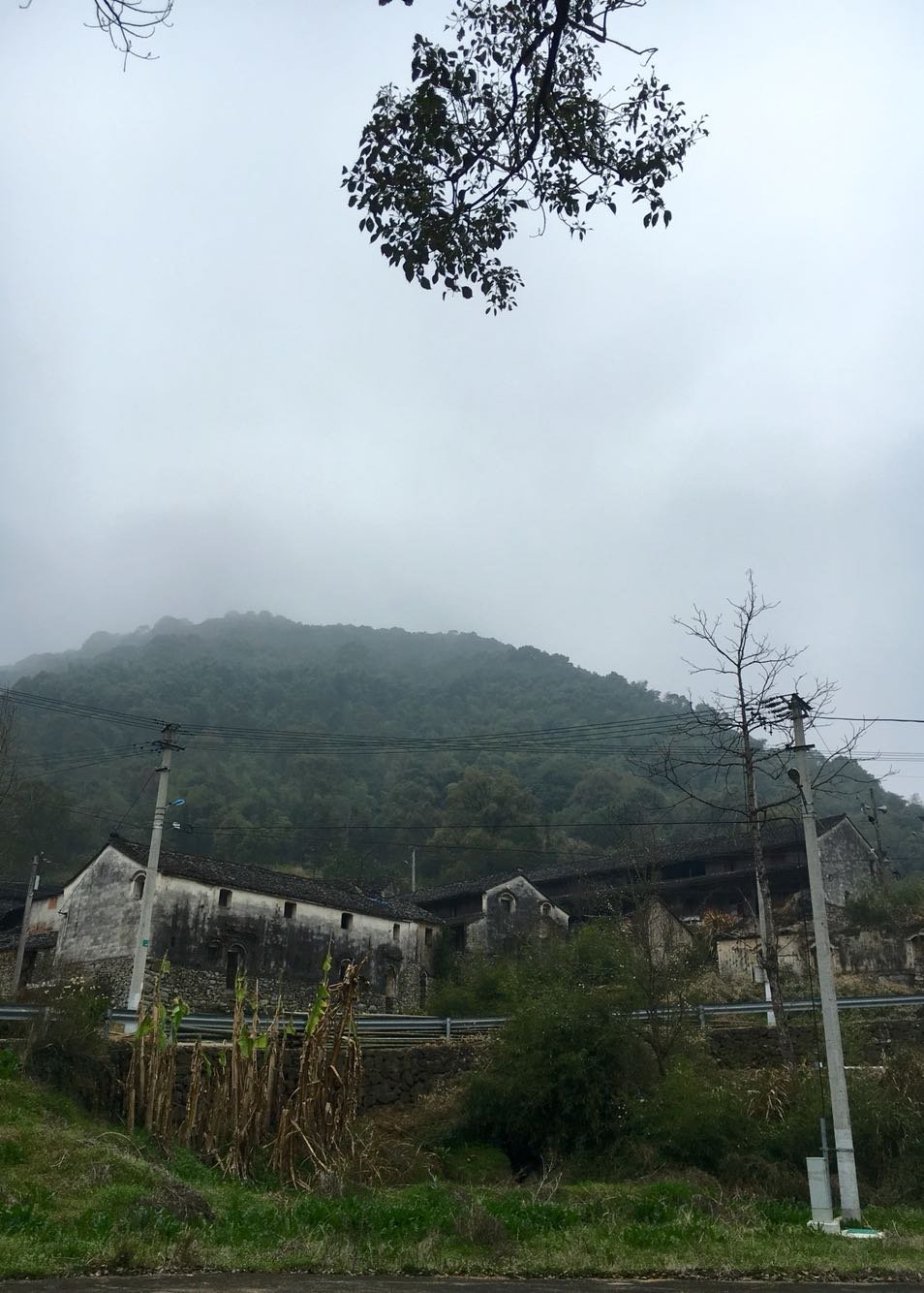 龙桥村天气预报更新通知