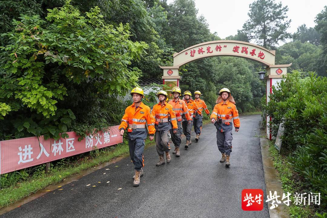 吴中区林场绿色发展步伐加快，生态建设成就瞩目最新新闻