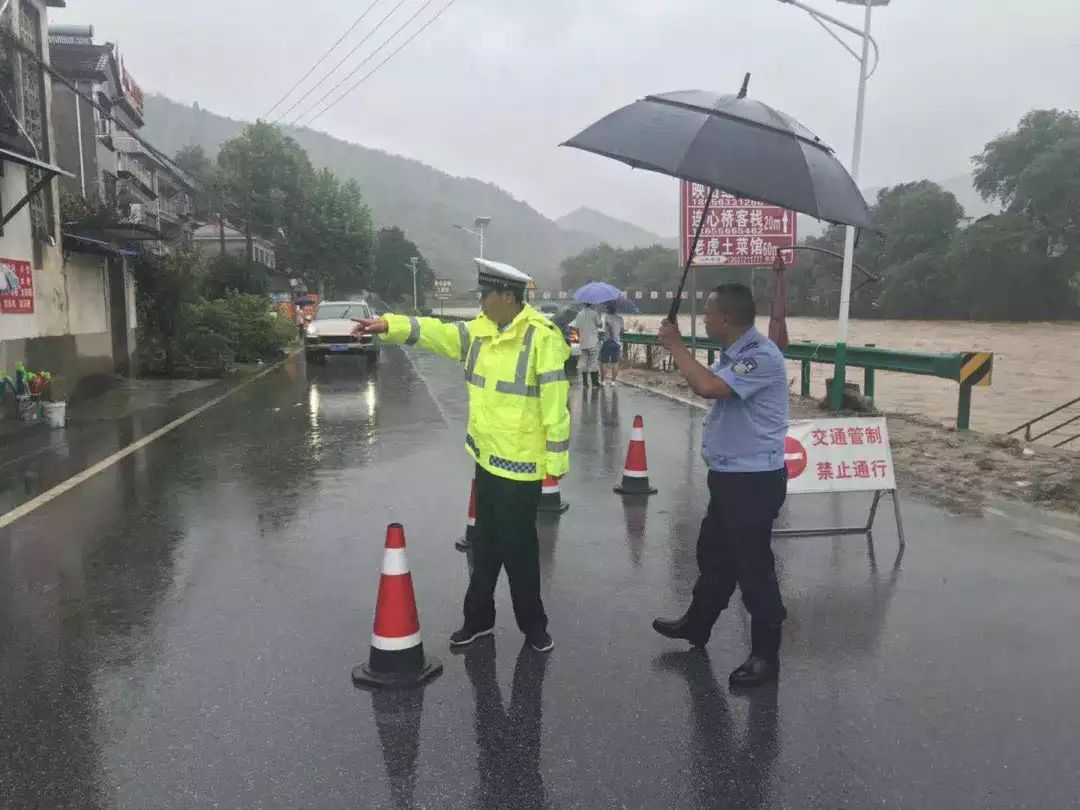 凉森村最新交通动态报道