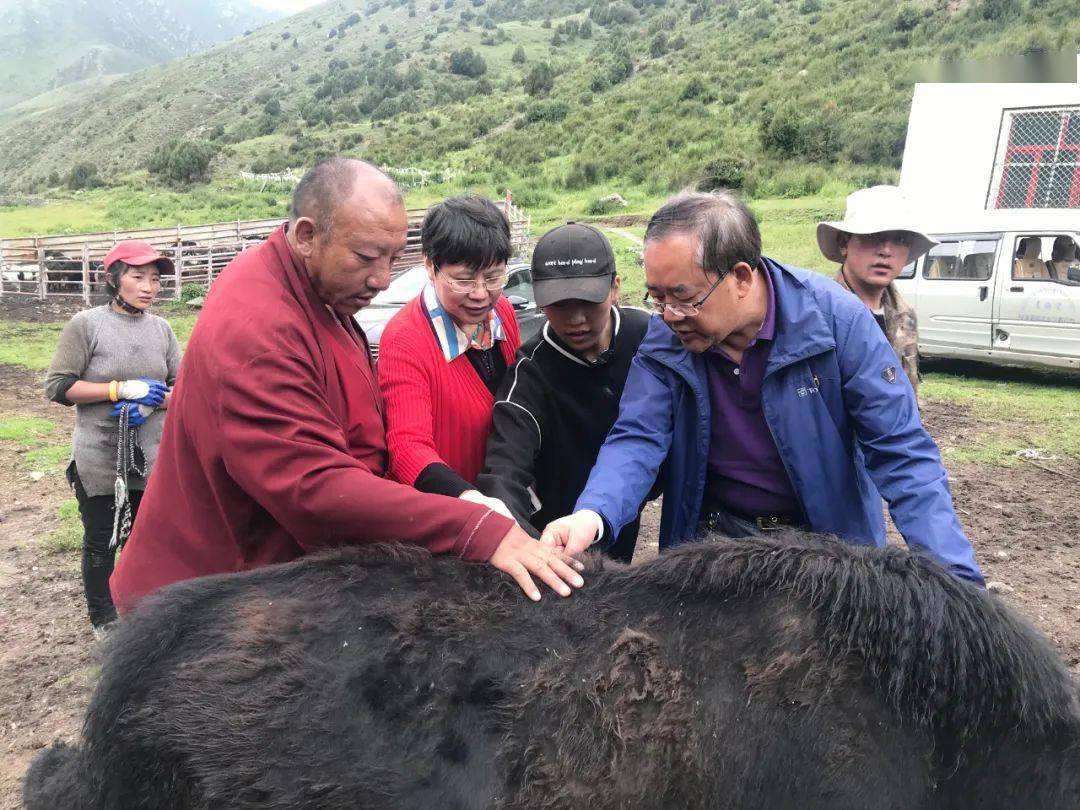 省牧草良种繁殖场交通新闻更新