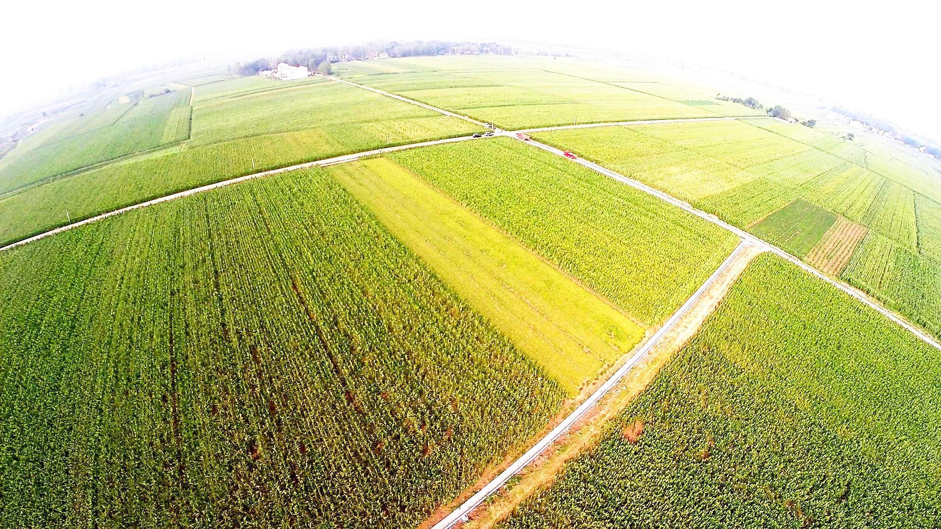 太平新区街道办事处新项目，区域发展的强大驱动力