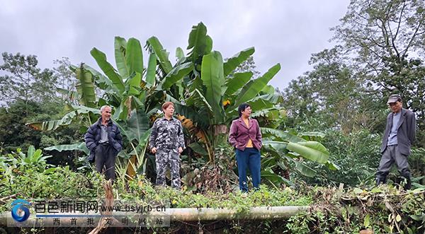 百色市人民防空办公室人事任命重塑人防力量新篇章