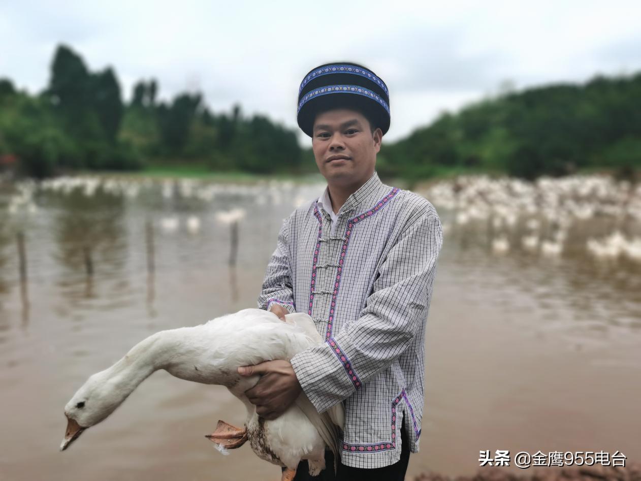 麻阳苗族自治县科学技术与工业信息化局发展规划展望