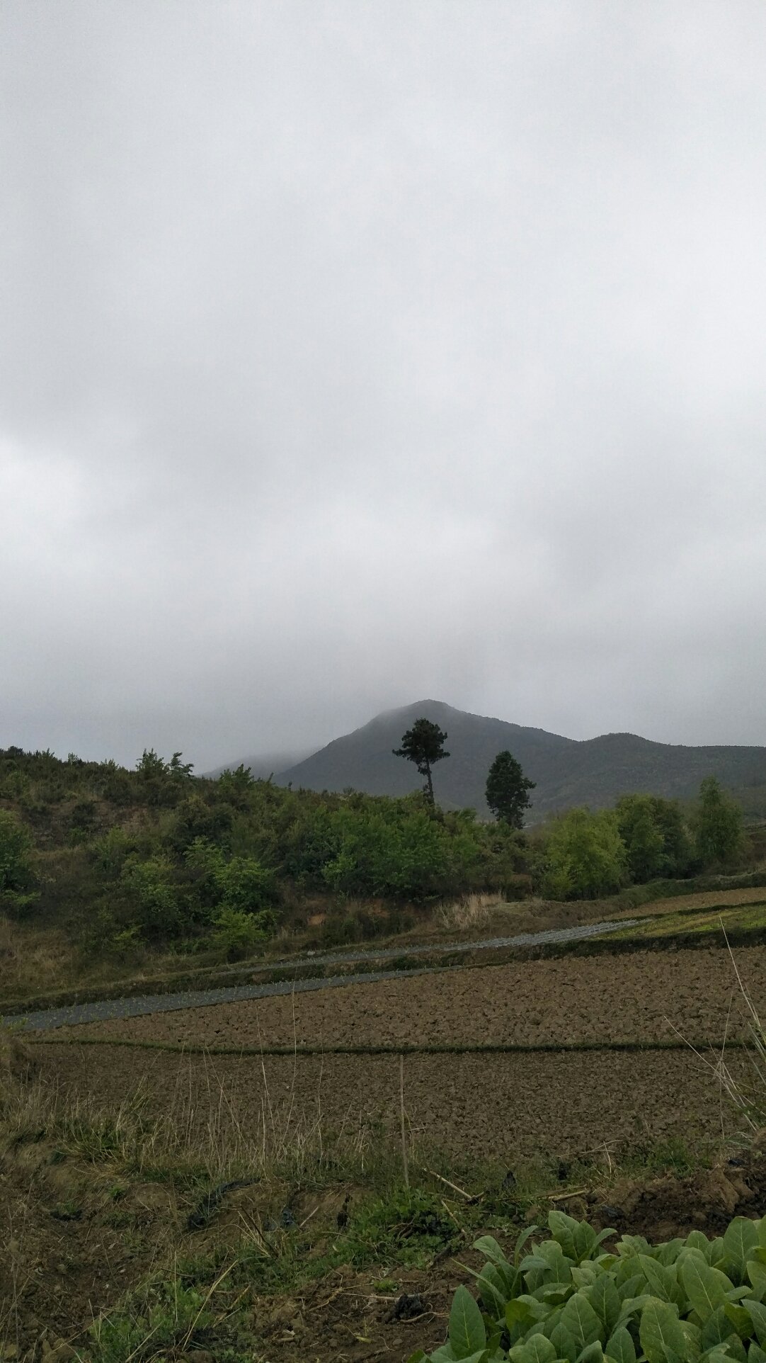 一六镇天气预报更新通知