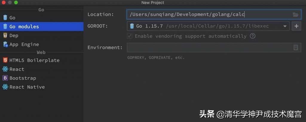 Golang最新版本特性探索与优势解析