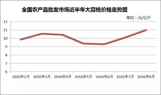 大蒜网最新价格行情解析