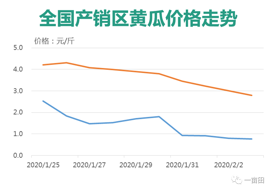 白菜价格最新行情分析与走势预测