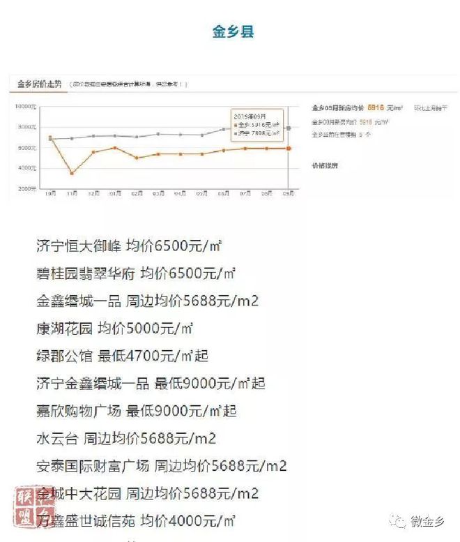 金乡楼盘最新价格动态与深度解析