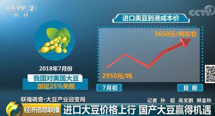 国际大豆价格最新行情解析