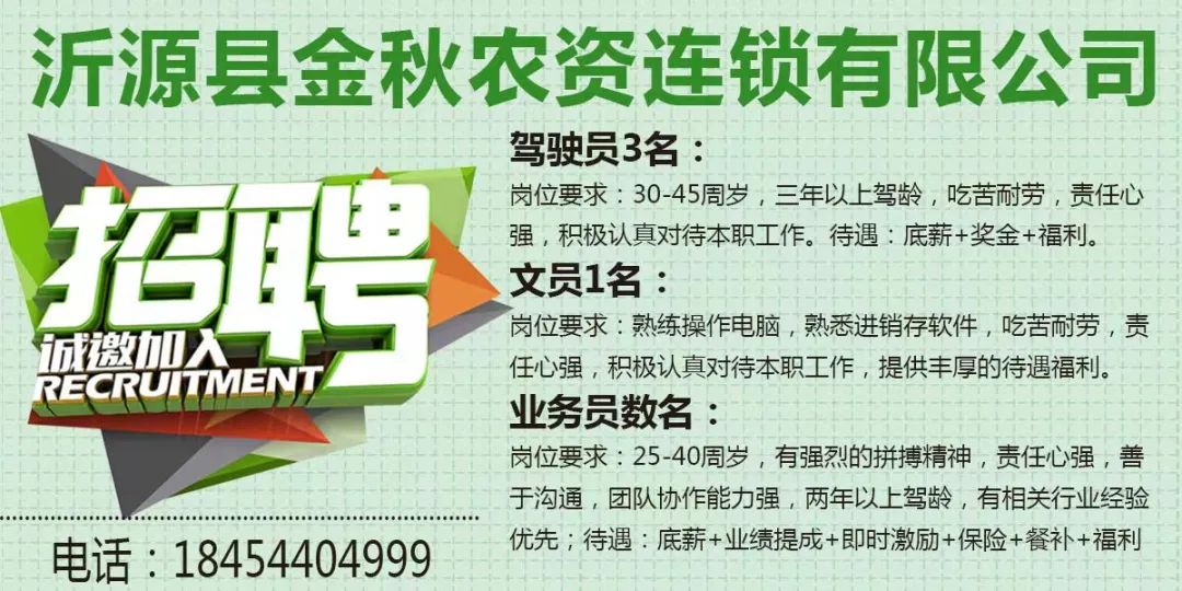 麻城最新招聘信息今日更新，职场人的新希望之门