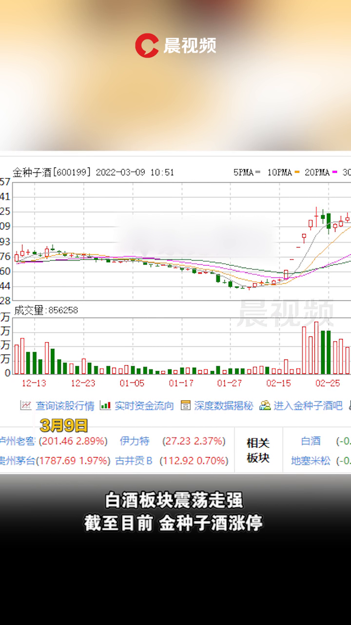 金种子酒股票最新消息深度解读与分析