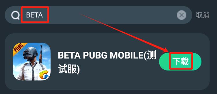 PUBG国际版最新版官网下载指南