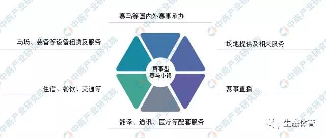 海南赛马政策最新消息深度解读与分析