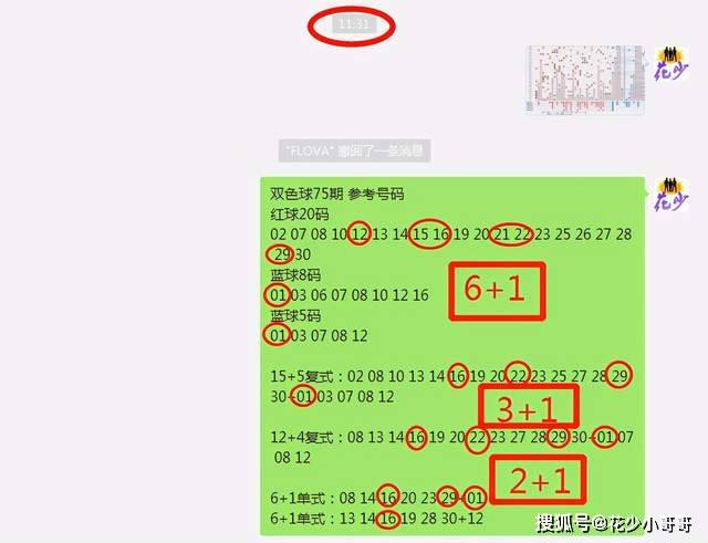 白小姐今晚特马期期准六,精细解析评估_set80.513