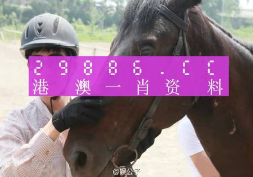 澳门一肖一码必中一肖,最新热门解答落实_游戏版256.183