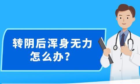 新澳精准资料免费大全,决策资料解释落实_影像版1.667