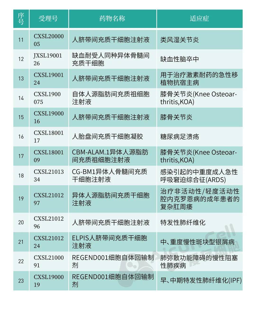 干细胞前沿动态，引领医学革命的新曙光