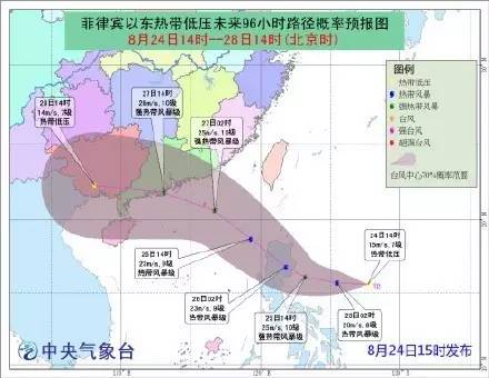 2024年11月13日 第8页