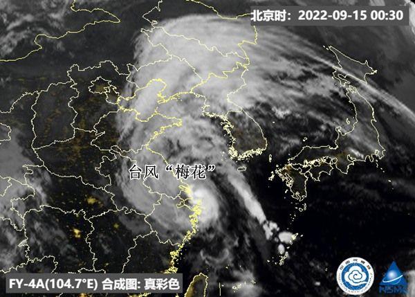 奉贤台风最新动态解析及应对方案全攻略