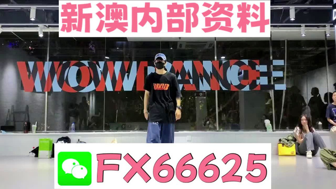 新澳门精准资料大全管家婆料,深层数据计划实施_XE版17.339