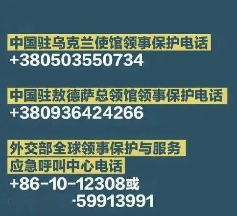 2024年11月16日 第14页