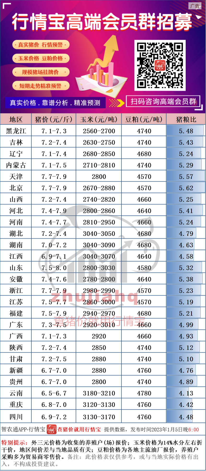 2024年11月18日 第41页