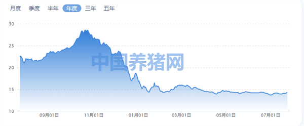 母猪最新价格动态解析报告