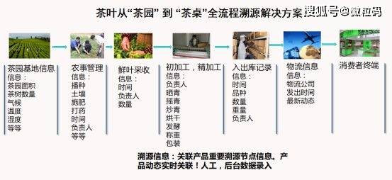 澳门精准一笑一码100,实效设计计划解析_5DM13.782