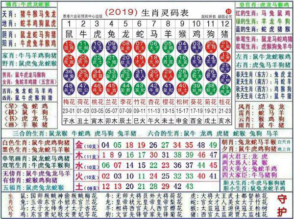 澳门正版资料大全资料生肖卡,全面执行分析数据_轻量版69.98