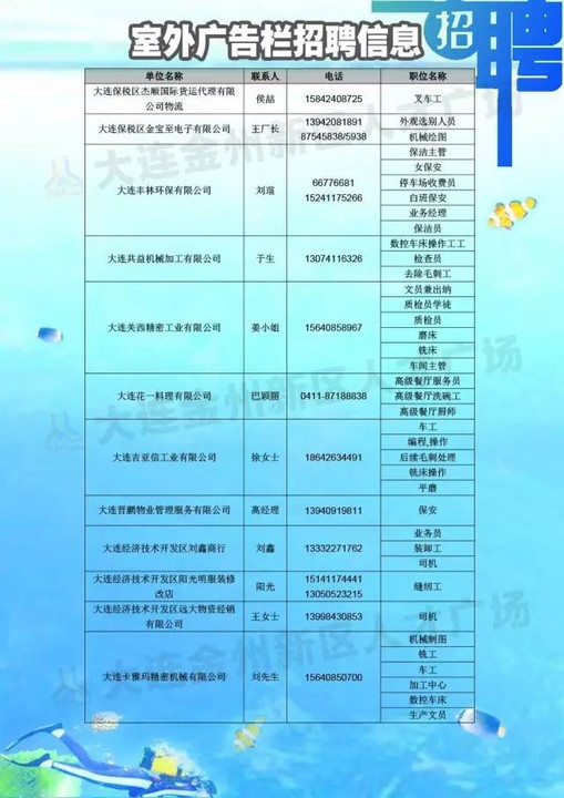 大连金州招聘网最新招聘动态深度解析与解读